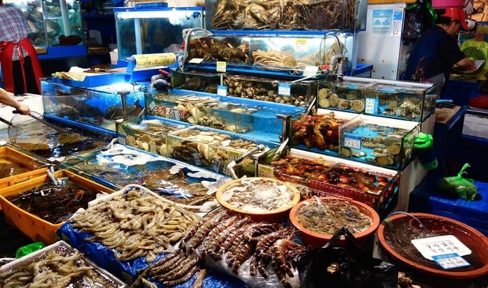 cho hai san nha trang 99 1628839999