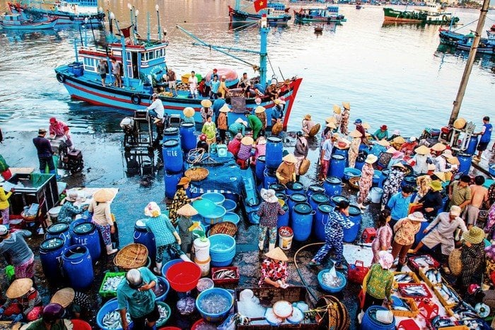 cho hai san nha trang 1628840062