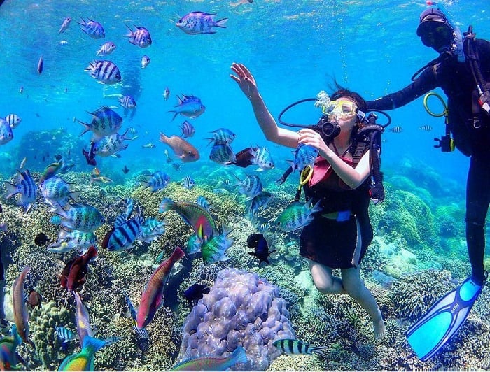chi phi du lich nha trang 18 1627626727